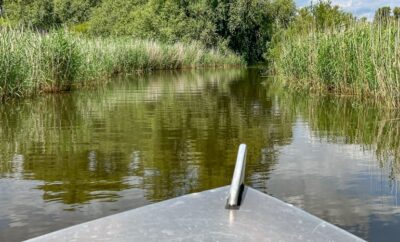 Ontdek De Biesbosch en Drimmelen: Natuur, Rust en Avontuur in Brabant